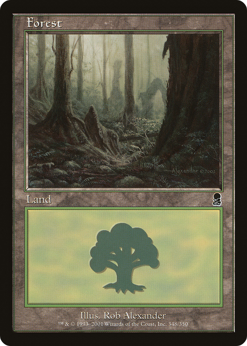 Forest (ODY-348) - common
