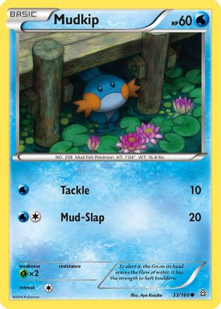 Mudkip (033/160) - XPC  - Common