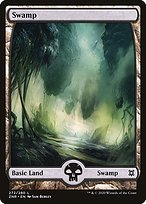 Swamp (ZNR-272) - common: (Full Art) - Foil