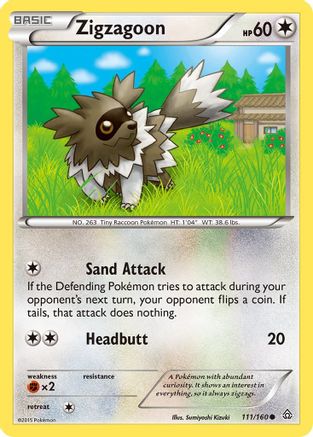 Zigzagoon (111/160) - XPC  - Common