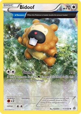 Bidoof (Alpha) (117/160) - XPC  - Uncommon - Reverse Holofoil
