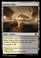 Forlorn Flats (OTJ-258) - common