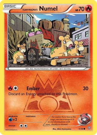 Team Magma's Numel (001/34) - DC  - Common - Reverse Holofoil