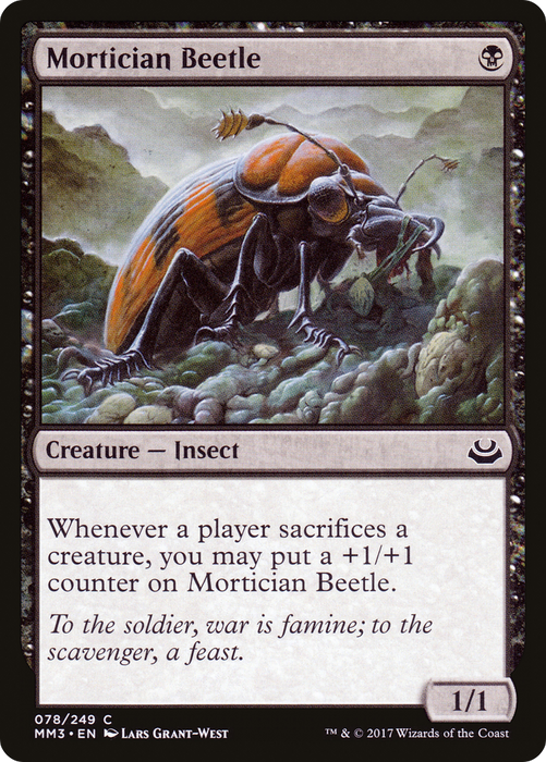 Mortician Beetle (MM3-078) - common