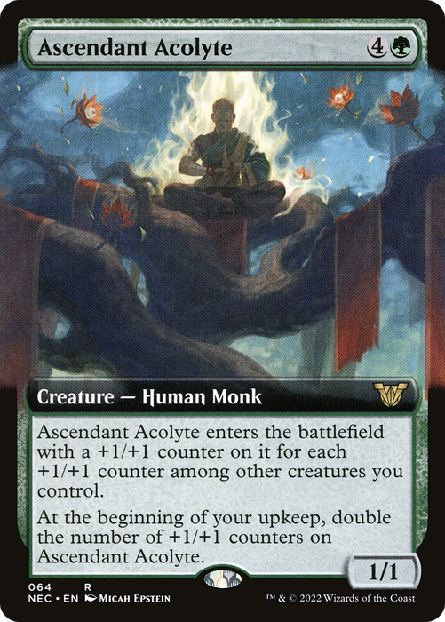 Ascendant Acolyte (NEC-064) - rare: (Extended Art)