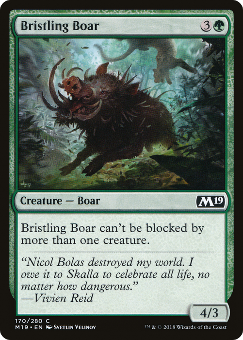 Bristling Boar (M19-170) - common - Foil