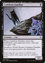 Cauldron Familiar (ELD-081) - uncommon - Foil