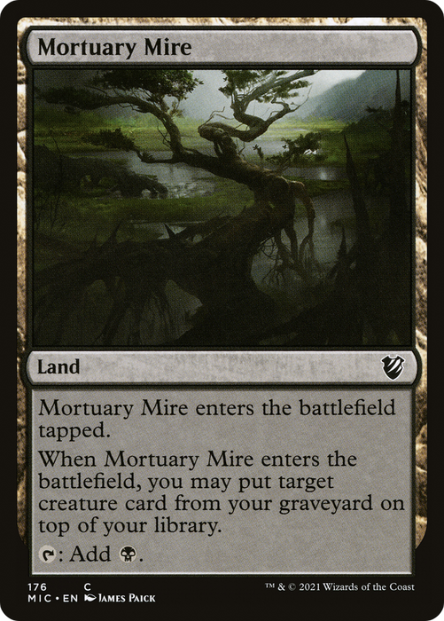 Mortuary Mire (MIC-176) - common