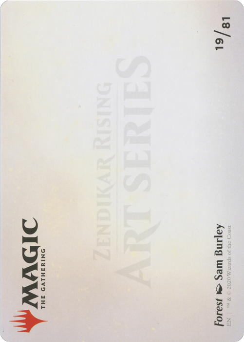 Forest // Forest (AZNR-019) - common (Borderless) - Foil