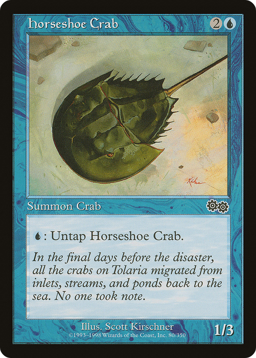 Horseshoe Crab (USG-080) - common