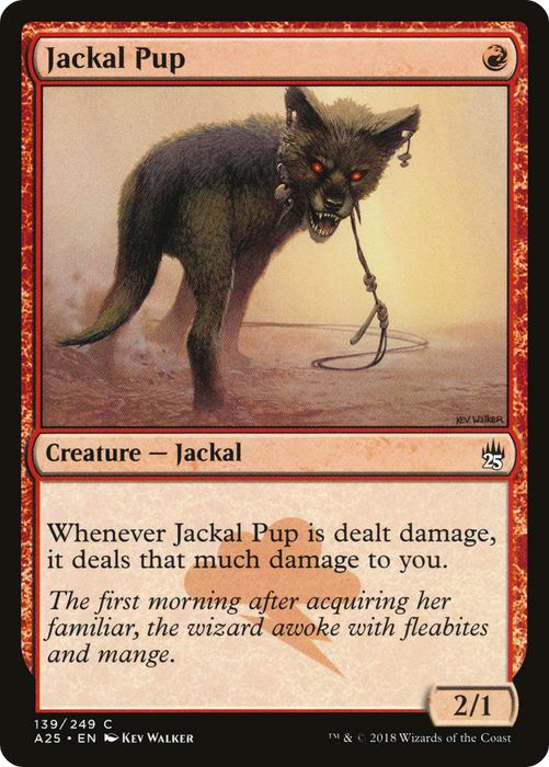 Jackal Pup (A25-139) - common