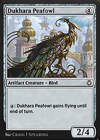 Dukhara Peafowl (KLR-234) - common