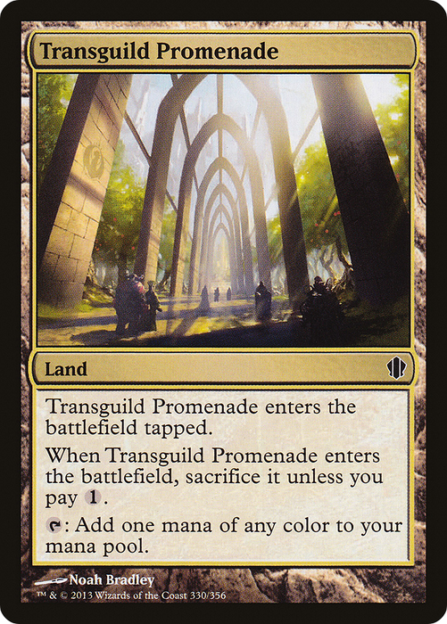 Transguild Promenade (C13-330) - common