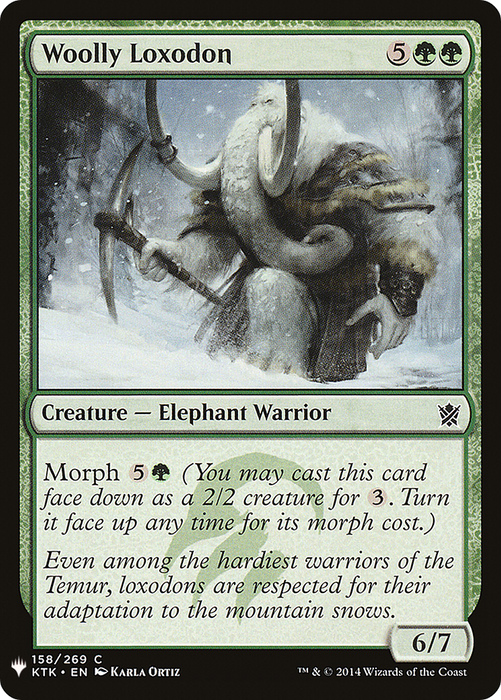 Woolly Loxodon (LIST-KTK-158) - common