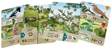 Forest Shuffle: Woodland Edge (anglais)