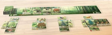 Forest Shuffle (anglais)