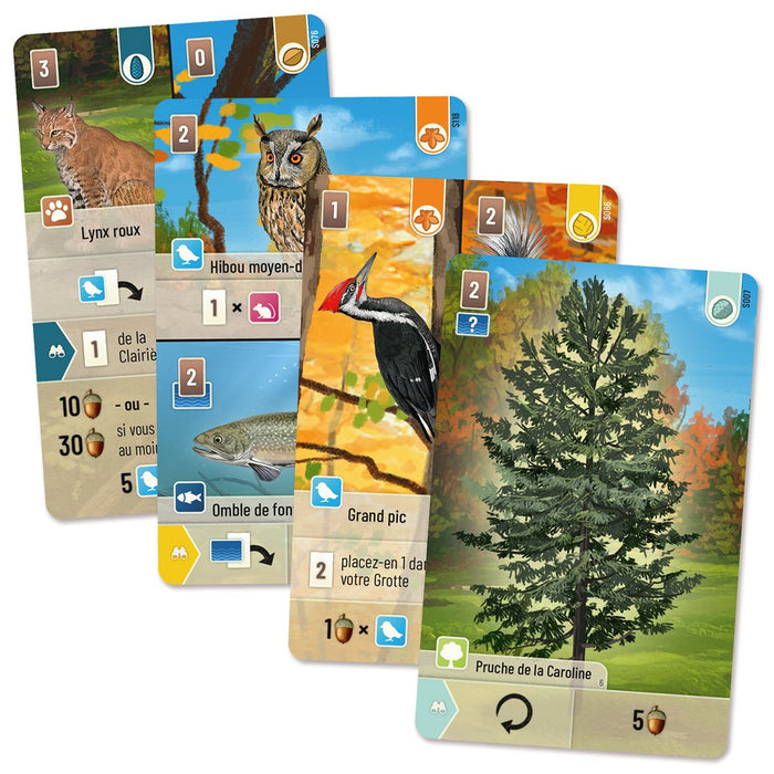 Forêt Mixte: Smoky Mountains (français) [Précommande] ***Q3 2026***