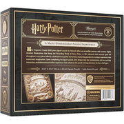 Theory 11: Harry Potter - 1000 pièces