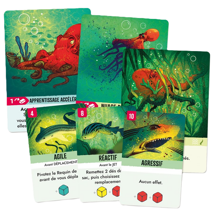 Kelp (français) - USAGÉ