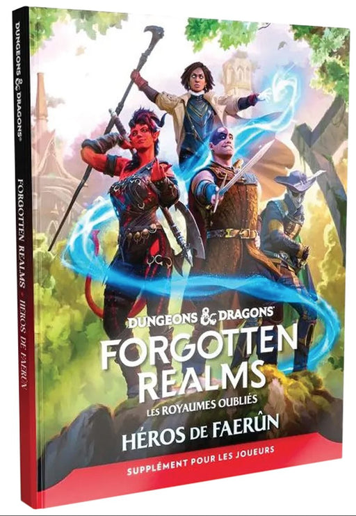 Dungeons & Dragons: Les Royaumes Oubliés - Héros de Faerûn (français)