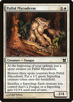 Pallid Mycoderm (MMA-024) - common