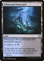 Submerged Boneyard (SCD-321) - uncommon