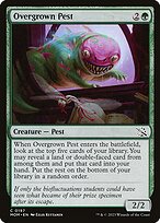 Overgrown Pest (MOM-197) - common