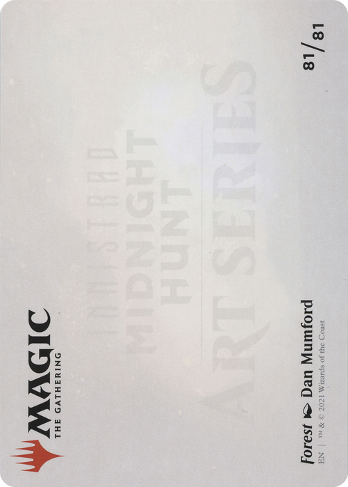 Forest // Forest (AMID-081) - common (Borderless) - Foil