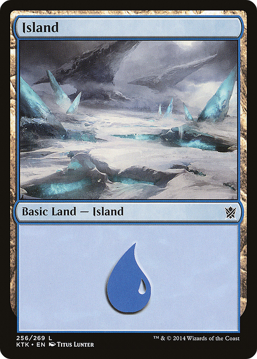 Island (KTK-256) - common