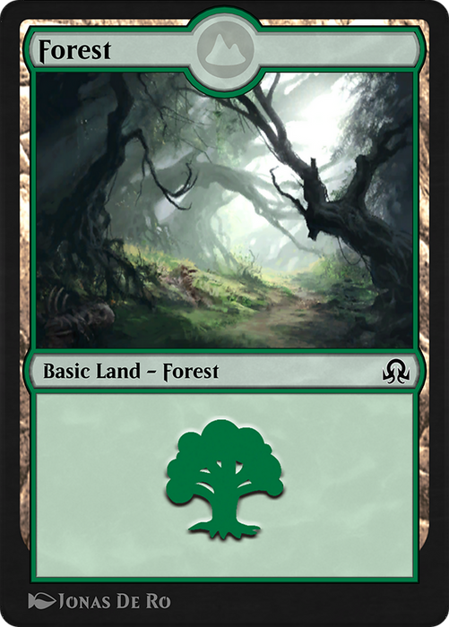 Forest (SIR-289) - common