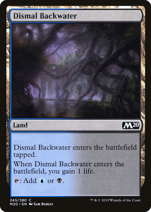 Dismal Backwater (M20-245) - common