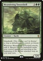 Meandering Towershell (LIST-KTK-141) - rare