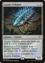 Cryptic Trilobite (C20-021) - rare