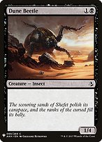 Dune Beetle (LIST-AKH-89) - common