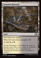 Scoured Barrens (DFT-263) - common