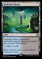 Darkslick Shores (PPONE-250P) - rare - Foil
