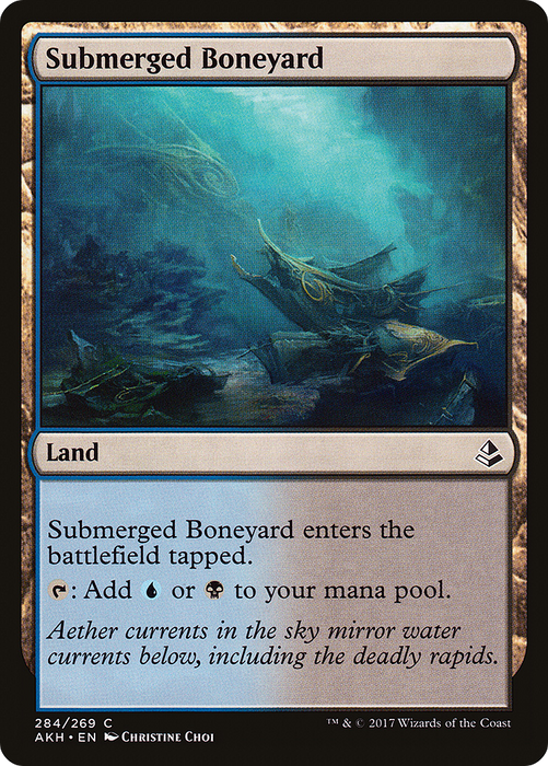 Submerged Boneyard (AKH-284) - common