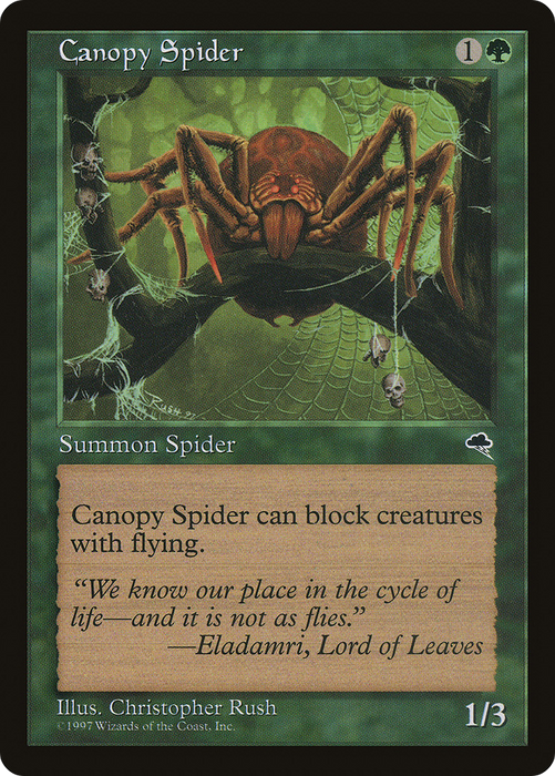 Canopy Spider (TMP-217) - common