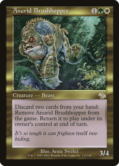 Anurid Brushhopper (JUD-137) - rare