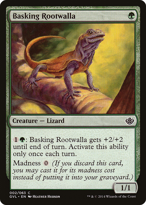 Basking Rootwalla (DD3-002) - common
