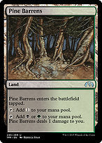 Pine Barrens (TPR-240) - uncommon - Foil