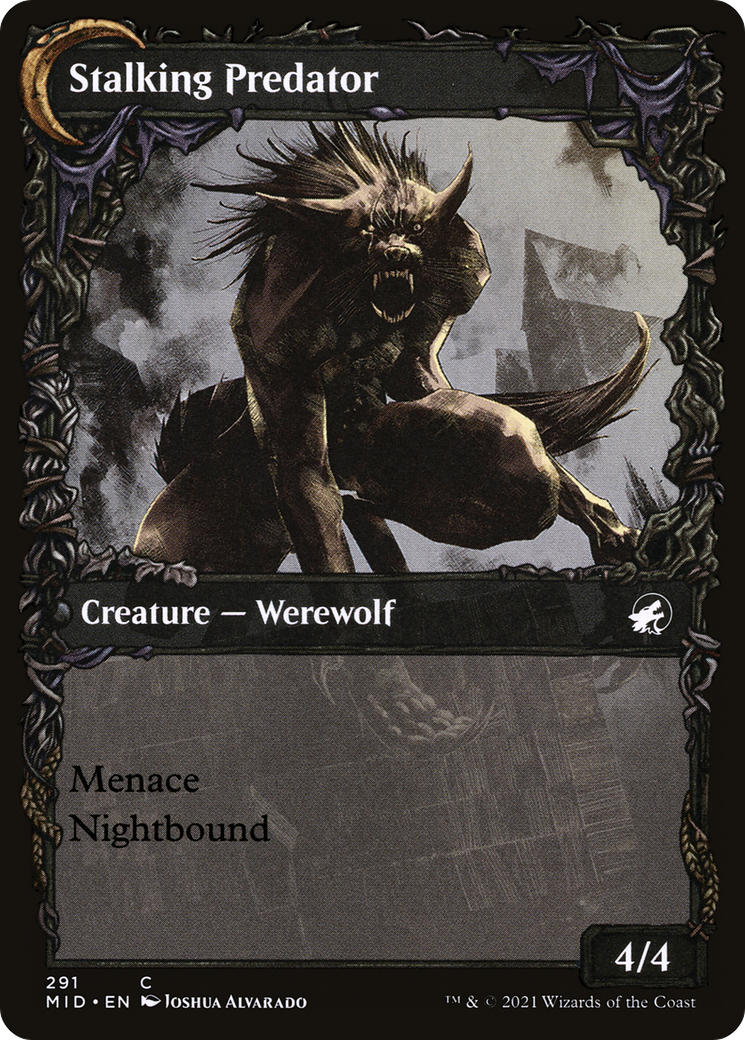 Shady Traveler // Stalking Predator (MID-291) - common: (Showcase, Double Faced Transform) - Foil