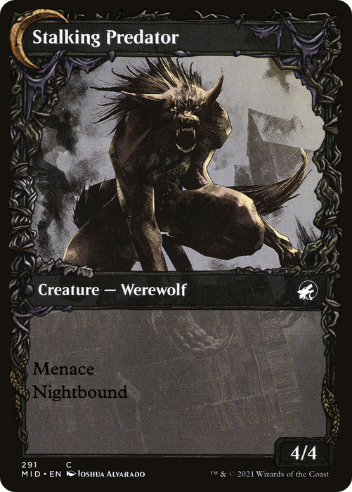 Shady Traveler // Stalking Predator (MID-291) - common: (Showcase, Double Faced Transform) - Foil