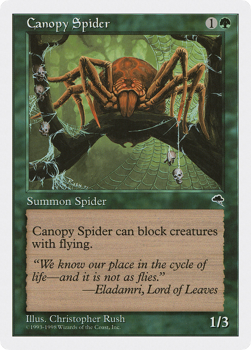 Canopy Spider (ATH-052) - common