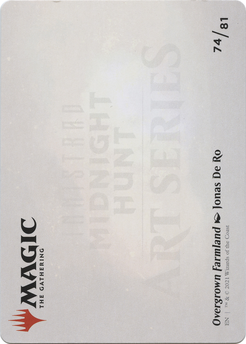 Overgrown Farmland // Overgrown Farmland (AMID-074) - common (Borderless)