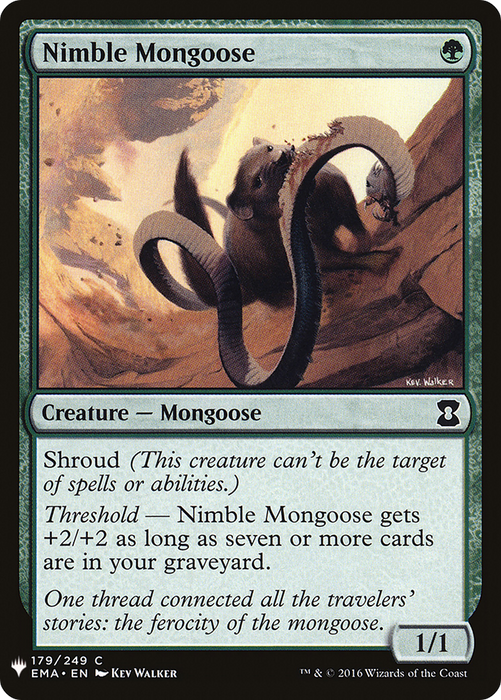 Nimble Mongoose (LIST-EMA-179) - common