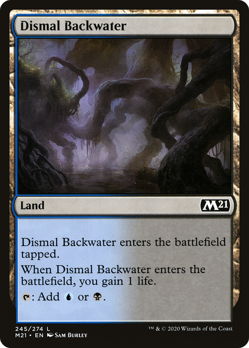 Dismal Backwater (M21-245) - common - Foil