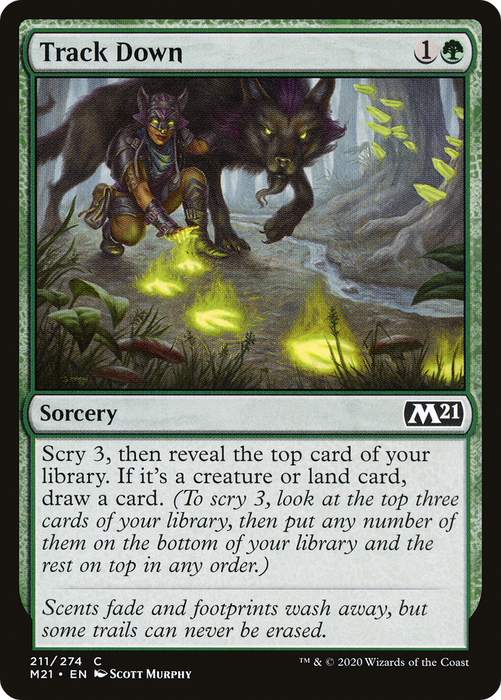 Track Down (M21-211) - common - Foil