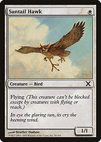 Suntail Hawk (10E-050) - common