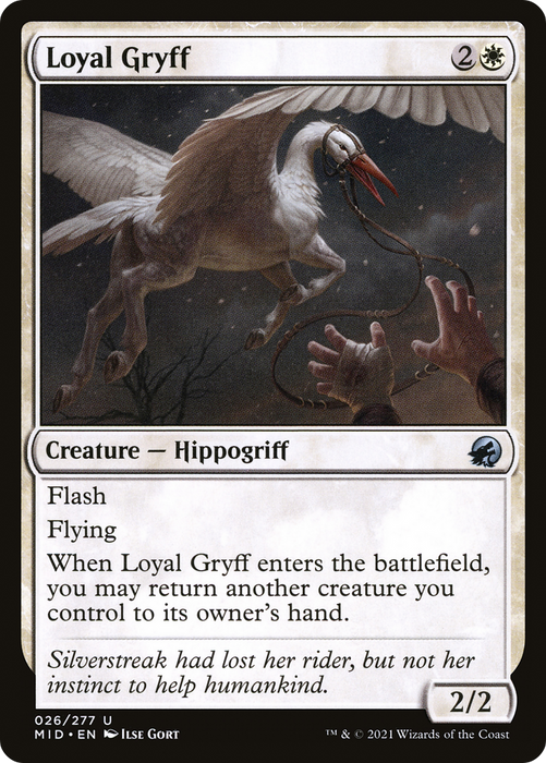 Loyal Gryff (MID-026) - uncommon